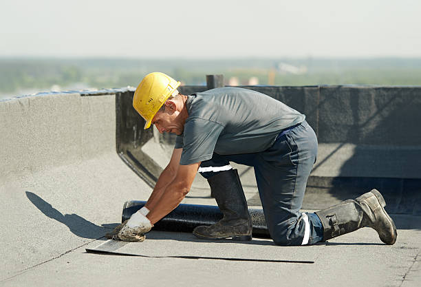Best Commercial Insulation in Ojus, FL